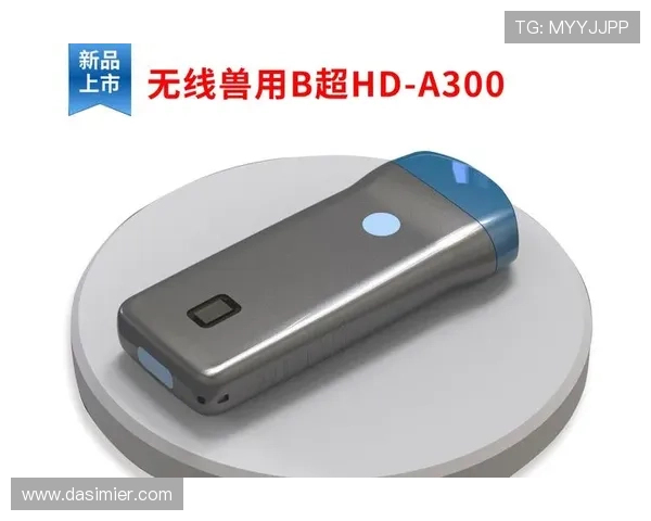 尊龙凯时官方下载平台最新版本全面升级，安全稳定保障玩家畅快体验