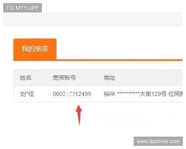 凯时KS国际登录账号密码忘记解决方案及账号安全保护技巧
